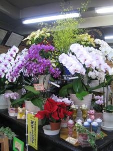今日の成果!!｜「メイク・ツルサキ」　（熊本県熊本市中央区の花キューピット加盟店 花屋）のブログ