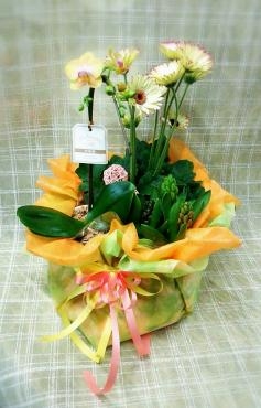 おまかせ商品あれこれ、春を寄せて。．：*：・‘☆｜「メイク・ツルサキ」　（熊本県熊本市中央区の花キューピット加盟店 花屋）のブログ