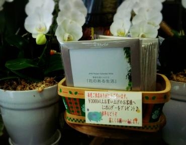今年もあと少し～(＾o＾)/｜「メイク・ツルサキ」　（熊本県熊本市中央区の花キューピット加盟店 花屋）のブログ